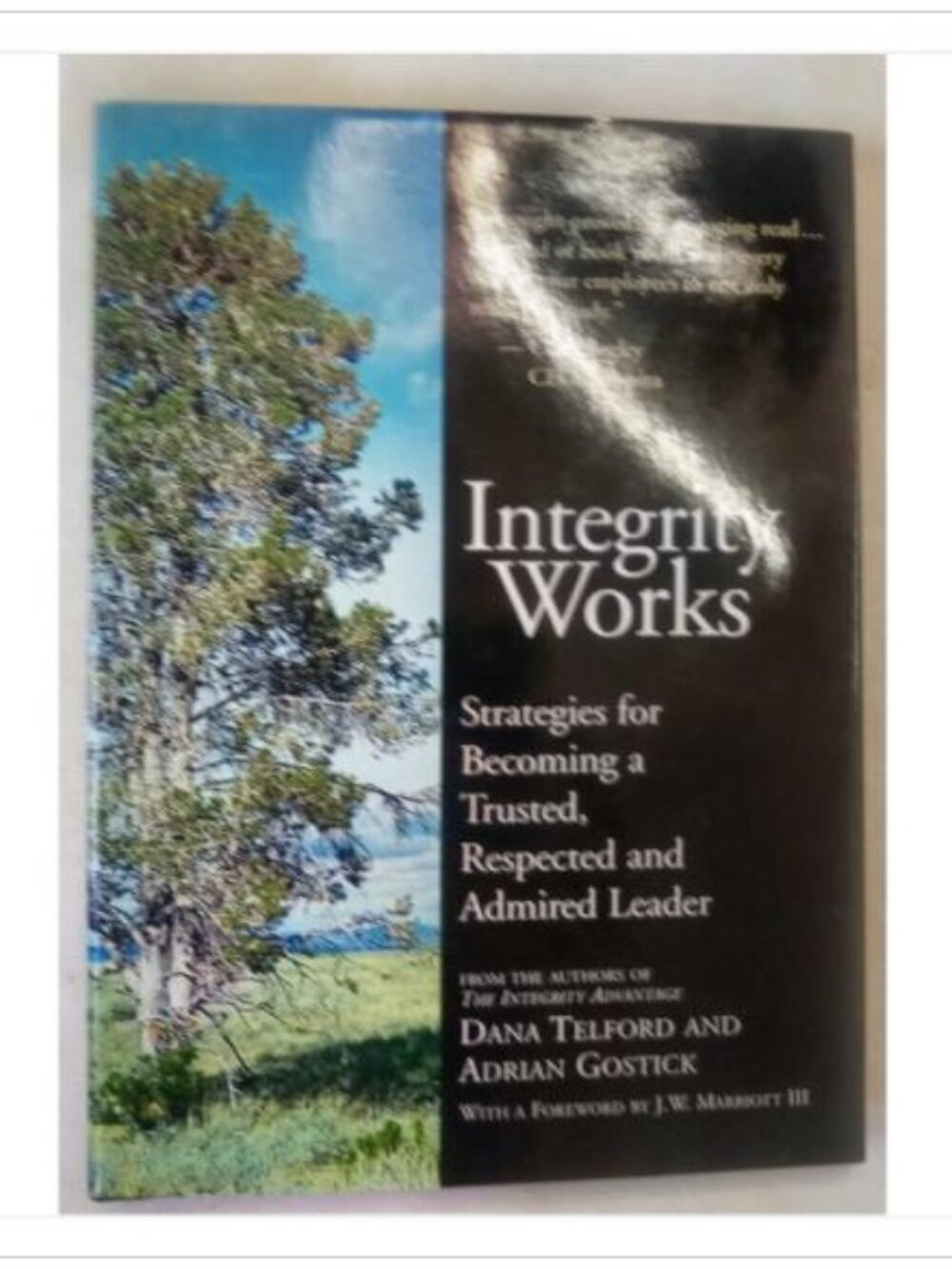 Integrity Works Strategies for Becoming a Trusted, Respected and 1st 2005 HC